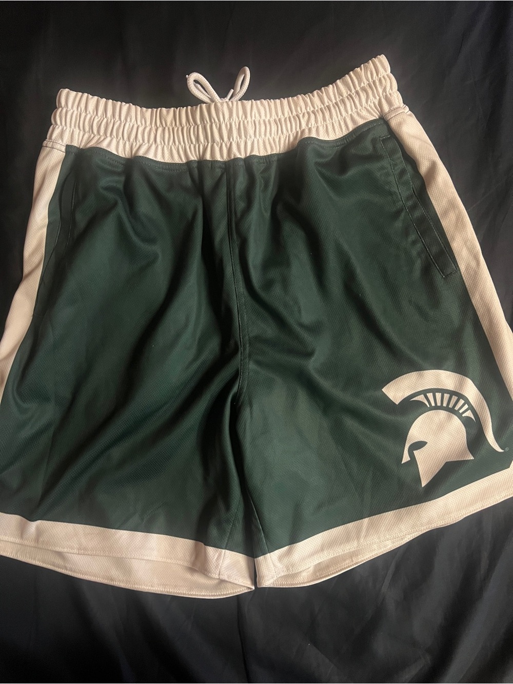 19NINE Michigan State Spartans Basketball Shorts Large